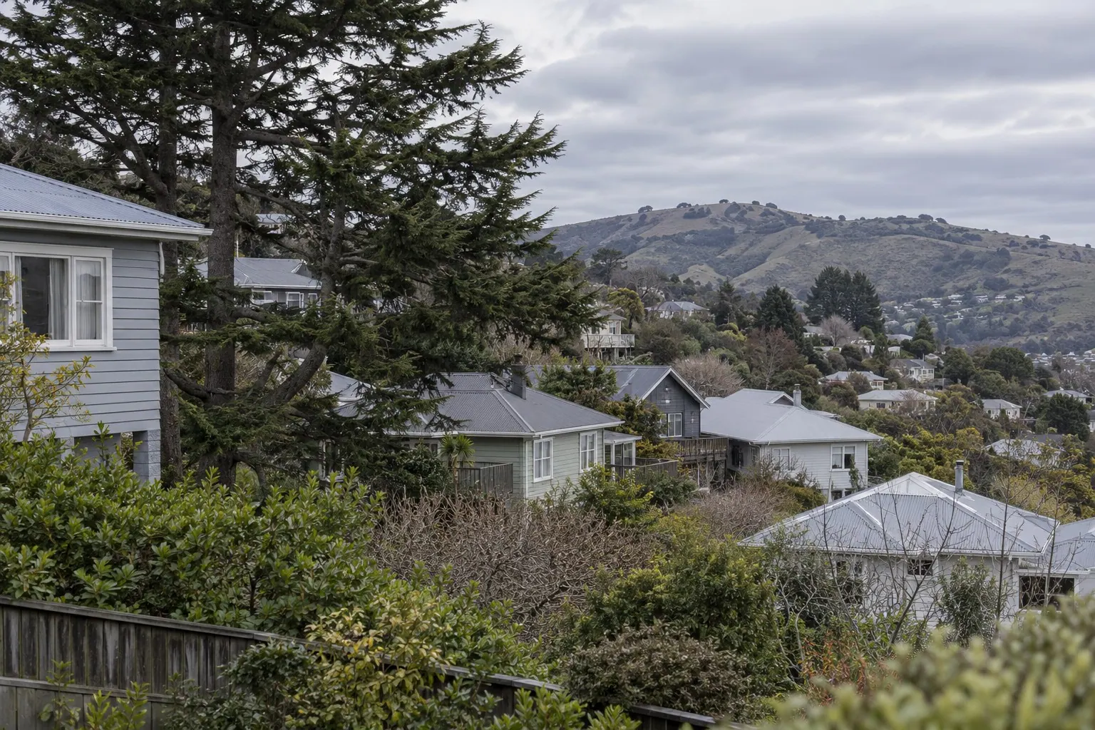 Trees and neighbouring rooftops on a hillside