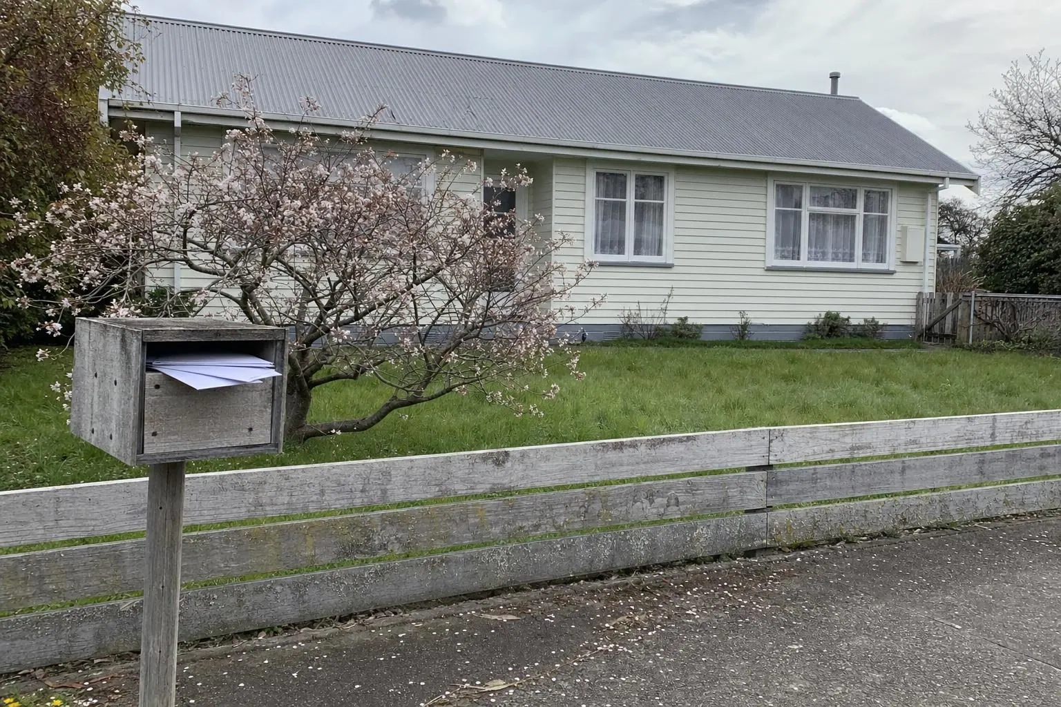 A timber letterbox holding two envelopes in front of a single-storey weatherboard house with a bare corrugated metal roof and a cherry tree in blossom